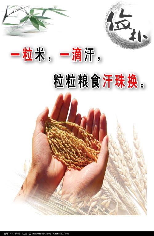 柏林爱丽丝-沙罗蒙应用技术大学经济学文凭证书